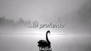 Fly With the Black Swan / Sonata Arctica \ Letra