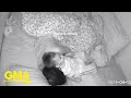 Energetic Toddler Won T Let Mom Sleep L GMA