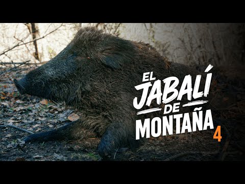 Ep. 4: Hunting Wild Boar | The Mountain Boar