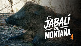 Ep. 4 Cazando jabalíes en batida | El jabalí de montaña