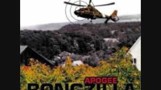 Bongzilla - American (Live)