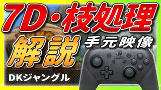 【手元あり】今さら聞けない!? DKジャングルの『7D・枝処理』を徹底解説!!【マリオカート8デラックス】ショートカット・初心者向け