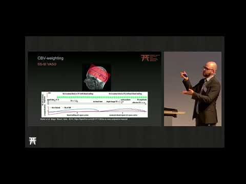 Viktor Pfaffenrot: Contrast mechanisms for laminar fMRI  sensitivity vs  specificity