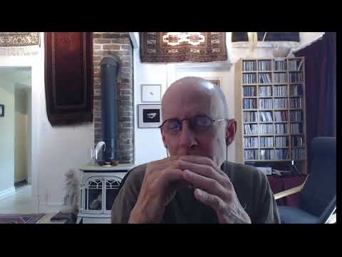 Low Down Dog - Alex Shultz guitar solo on harmonica