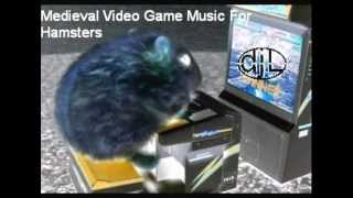 Medieval Video Game Music for Hamsters - dj longhair