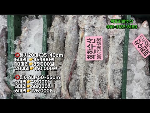 1월30일(금) 오늘의 판매생선 #급냉제수용참조기  #참서대30미 #참서대20미 #8미갈치 #4미갈치 #3미갈치 #성대#가자미20미 #가자미15미 #통치20미 #민어 #장대 #홍어