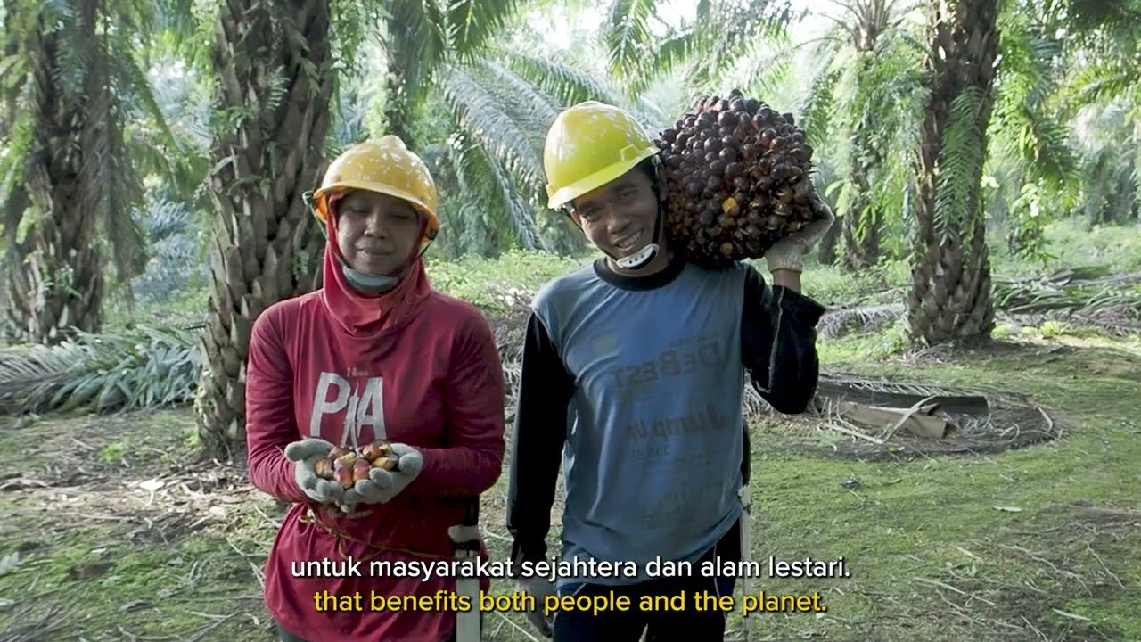 SLPI Implementation in Central Kalimantan (Implementasi SLPI di Kalimantan Tengah)