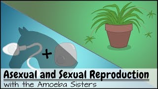 Asexual and Sexual Reproduction
