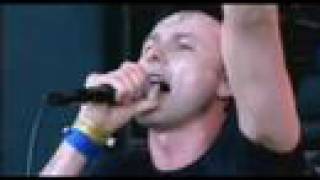 suede-The Wild Ones(live)