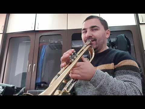 Tutorial Bătută bună pentru nunți - trompeta.