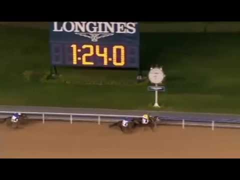 15.01.2015 Meydan (Dubai/UAE) 4.Race 2000 Guineas Trial - 1.400 m