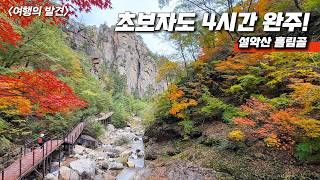 🎖️ 하루 5,000명만 입장! 예약 전쟁 중인 설악산 흘림골 트레킹 | 사라지기 전에 꼭 가보세요 | 🚌 대중교통 당일치기 여행