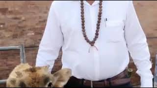 ಕನ್ನಡ ಕಂಪು - Youtube Video