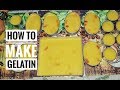 How to Make Gelatin | Pinoy Dessert How to Make Gelatin | Pinoy Dessert
