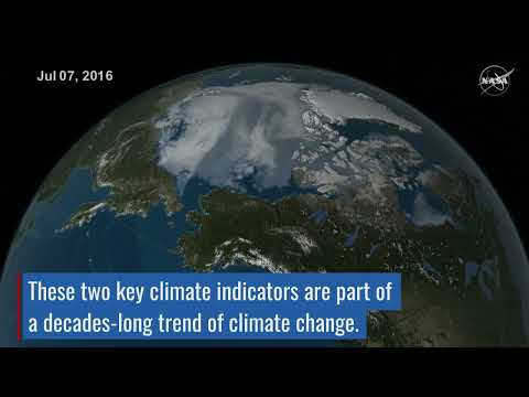 Rising Temperatures and Shrinking Sea Ice