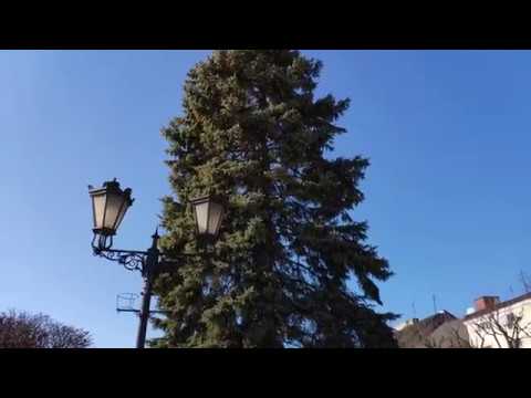 YouTube Preview Image