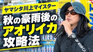 ヤマシタ 川上マイスターに聞く！秋の豪雨後のアオリイカ攻略法
