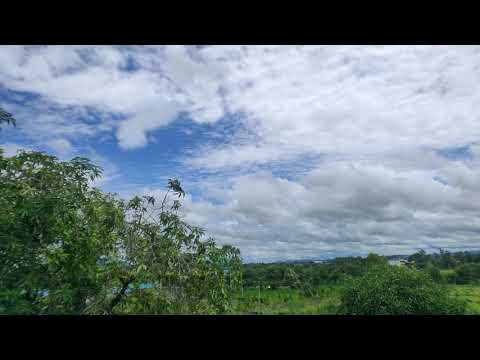 Timelapse on Realme X. #clouds #trees