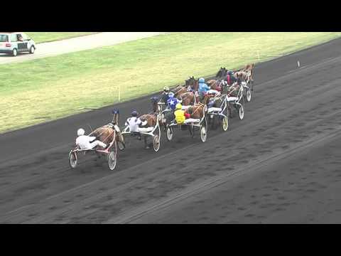 La course du Prix de France 2012 gagnée par Jean-Philippe Dubois avec Royal Dream