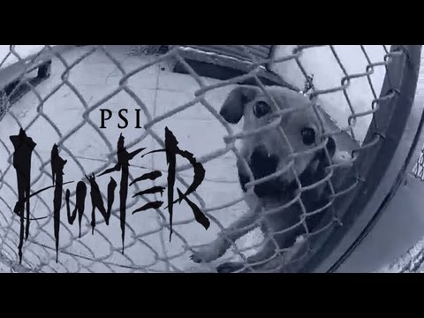 HUNTER - PSI (official video)