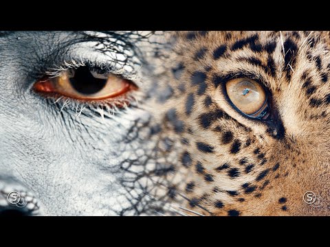 Fidel Wicked - Walking The Line | Between Good and Evil | Chill Out Mix