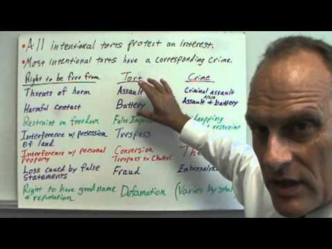 Intentional Torts   Overview