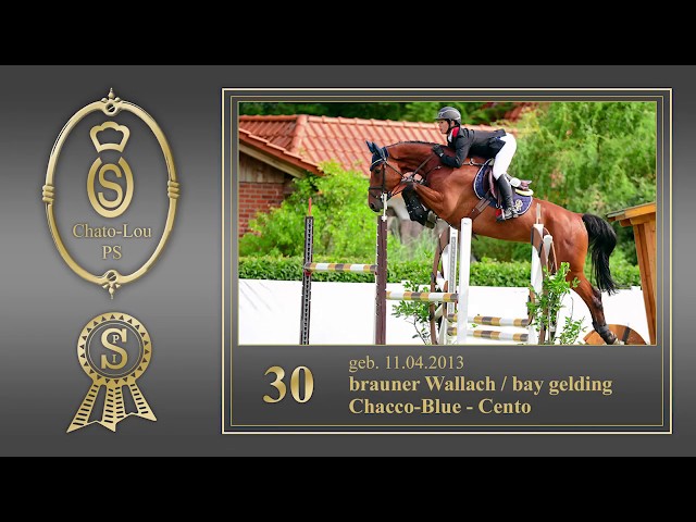 The half-brother of this frozen embryo is PSI auktion highlight and CSI 1.50m horse Chato-Lou PS with rider Kent Farrington.