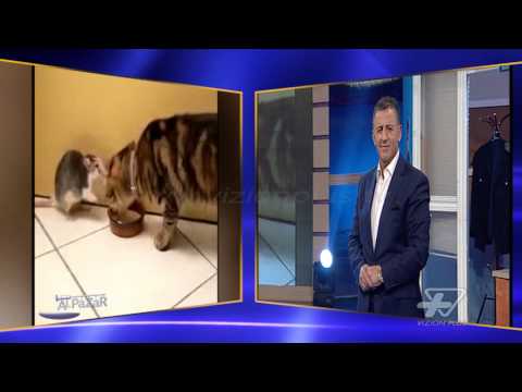 Al Pazar - 11 Prill 2015 - Pjesa 3 - Show Humor - Vizion Plus