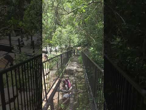 Chapada Indaiá I Parque Ecológico em Formosa - GO #goiás #travel #nature #natureza #brasil #trilha