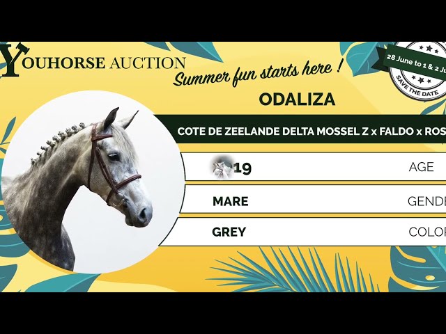 Odaliza