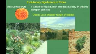 Introduction to Seed Plants