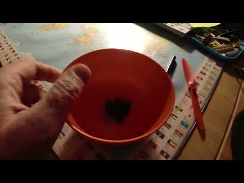 MongoTV_10390 - Del 3 - SPISER LILLE SKÅL SALTLLAKRIDS LØRDAG AFTEN