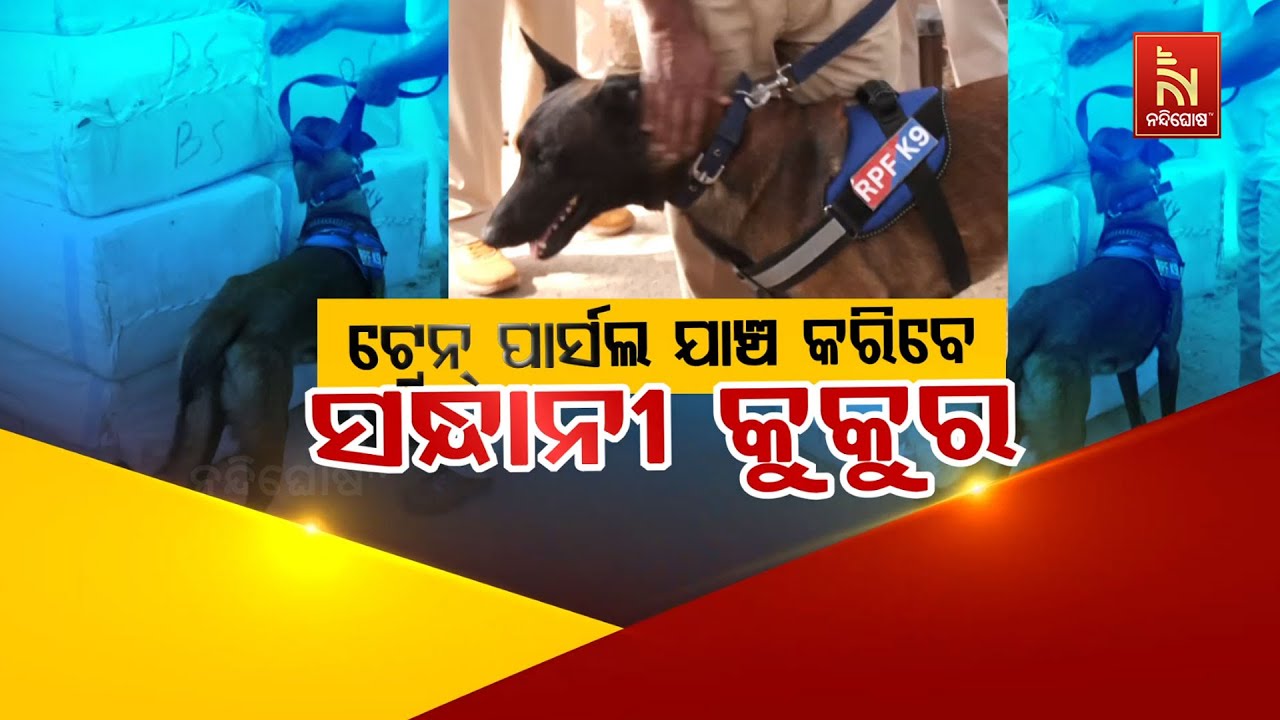 🔴 Live | ଟ୍ରେନ୍ ପାର୍ସଲ ଯାଞ୍ଚ କରିବେ ସନ୍ଧାନୀ କୁକୁର