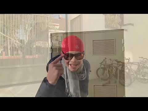 Rettet Eisbären - Schulworkshop der AHS Wien West