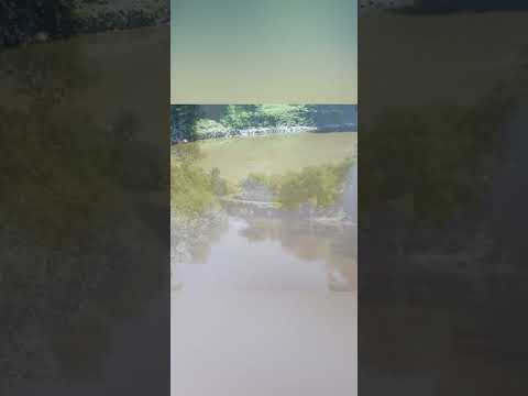 Naturaleza Viva.    río San Luis (Rocha)