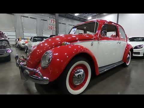 1964 Volkswagen Beetle (CC-1979379) for sale in Sarasota, Florida