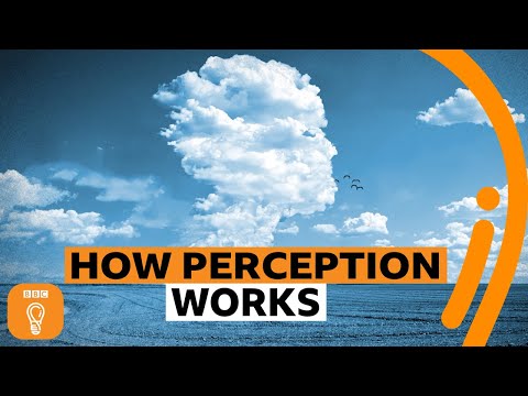 色盲？臉盲？我們的感官究竟是如何運作的？ (Why we see faces in clouds | BBC Ideas)