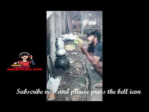 Vellappalli Nadesa Daivame Njangale vattan padippicha daivame song-viral