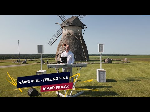 Aimar Pihlak - VÄIKE VEIN, FEELING FINE