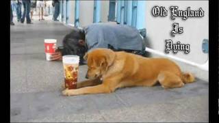 The Waterboys - Old England