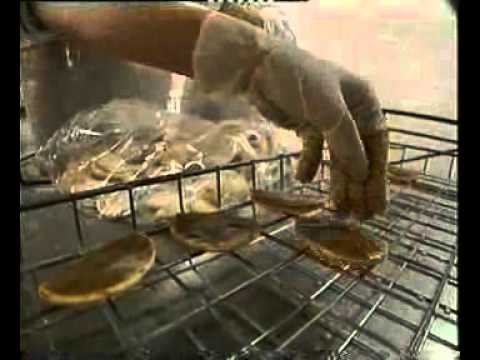 Estancia El Rosario - Empresa.flv