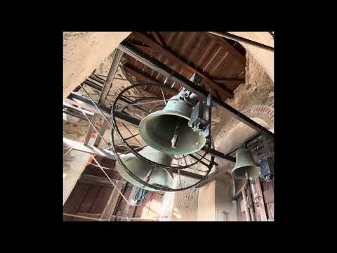 Le campane di Vialfrè (TO), Chiesa parrocchiale: plenum