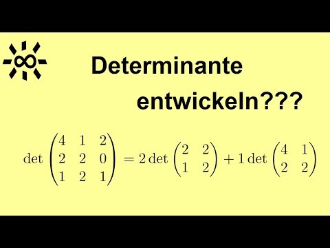 Determinante Entwicklungssatz von Laplace Beispielrechnung