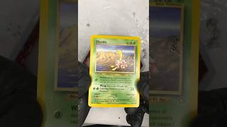 Shuckle Coaster #pokemon #anime #shuckle