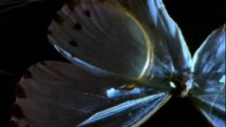 EL ARTE DE DECIR QUE NO - FANGORIA