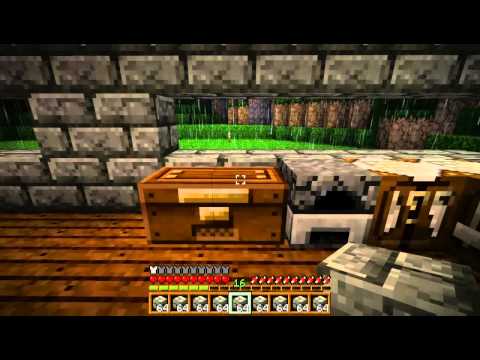 Český Let's Play Minecraft: S01E16 Stavíme dál...