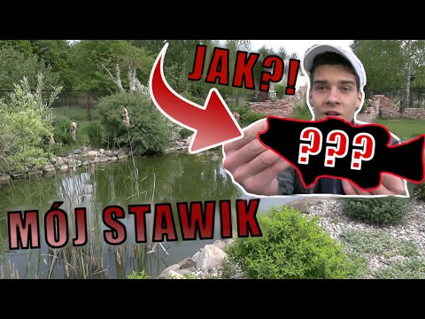 Nie Spodziewałem Się Tych Gatunków w Moim Stawiku!