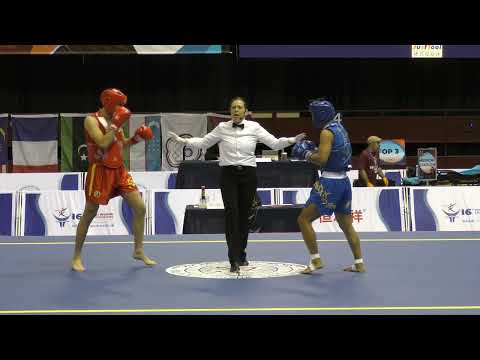HYX 16th World Wushu Championships Sanda Men's 80KG - Croatia vs. China