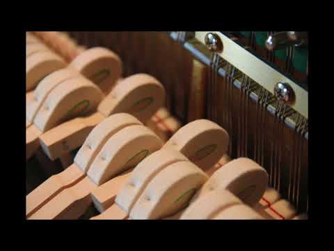 Alkan - Etude op. 35 no. 7: L’incendie au village voisin