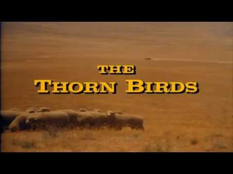 Henry Mancini - "The Thorn Birds" Theme (가시나무 새) ...♪aaa (Instrumental) (HD)  [Keumchi - 韓]